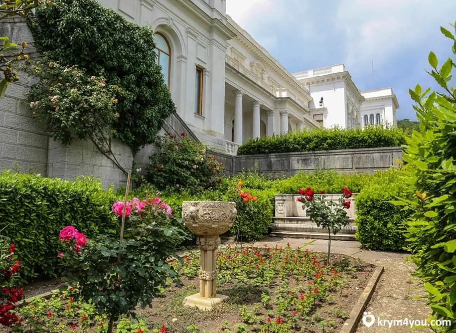 Вид на море сквозь кроны деревьев в Царском парке